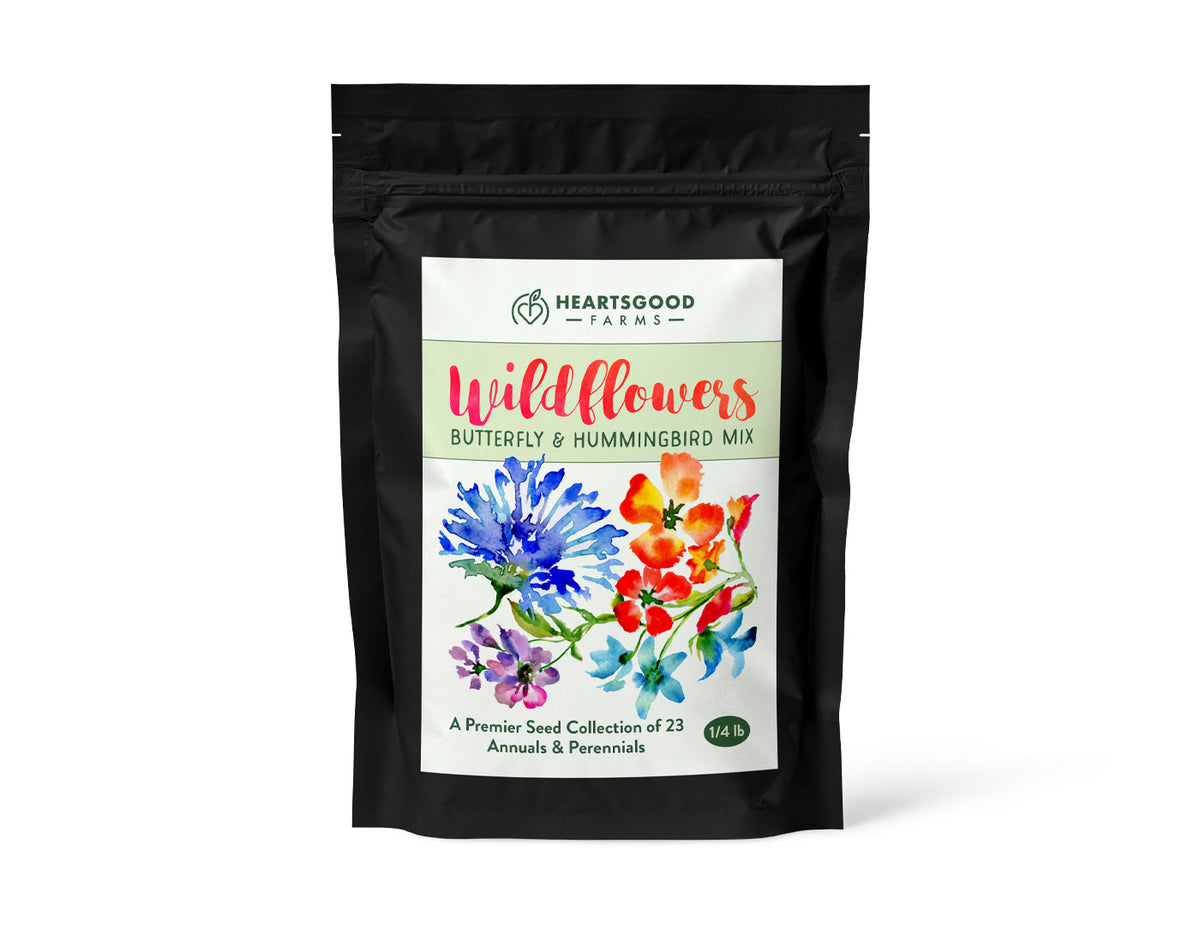 Hummingbird Wildflower Seed Mix